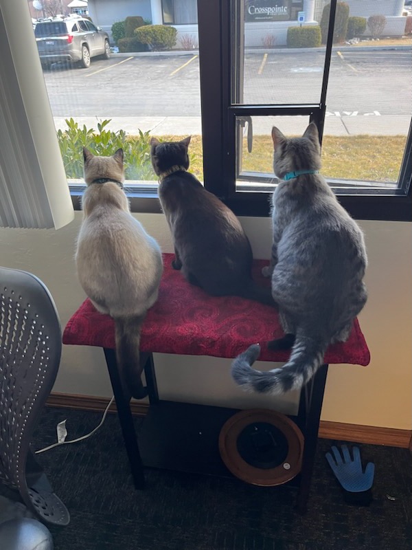 Family Practice Positive Connections Plus LLC