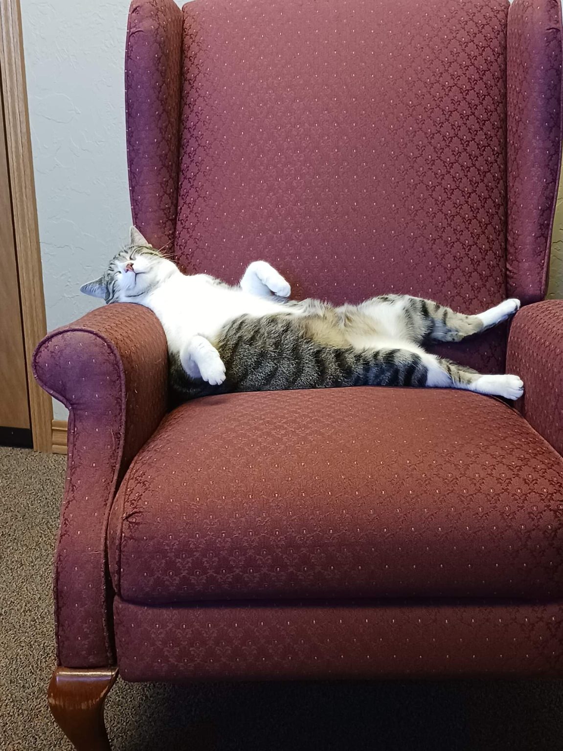 Family Practice Positive Connections Plus LLC